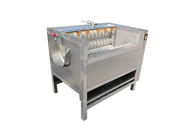 1000kg/h 음식 공장 컨베이어 벨트 청소 솔 세탁기