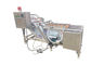 SUS 304 기포 500 킬로그램 / Ｈ 생강 세탁기